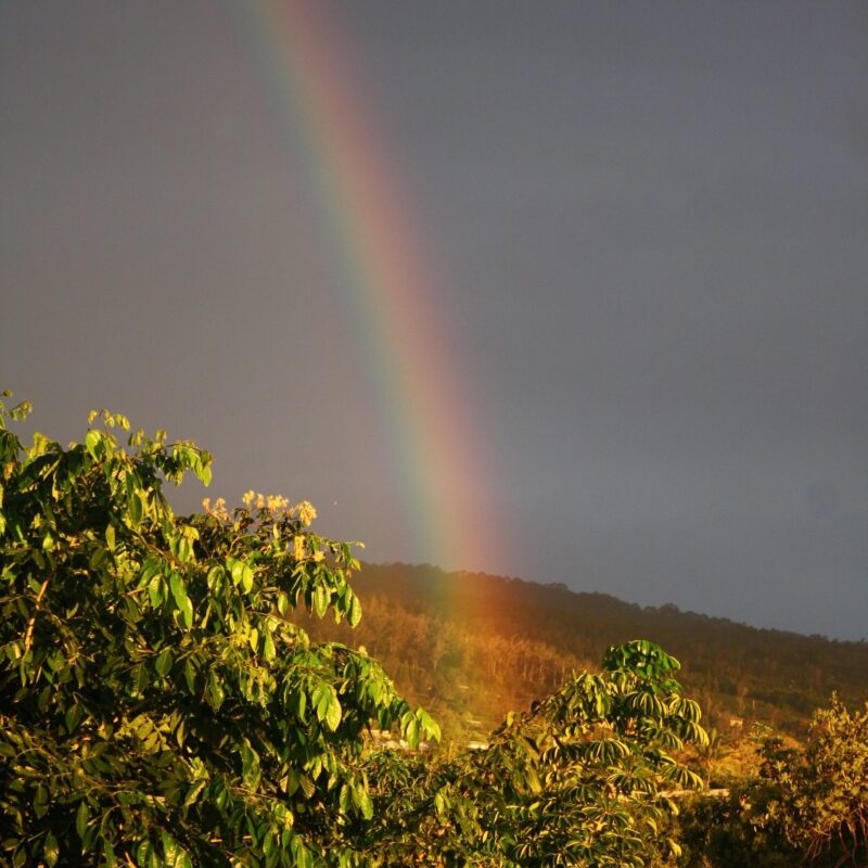 coffeerainbow