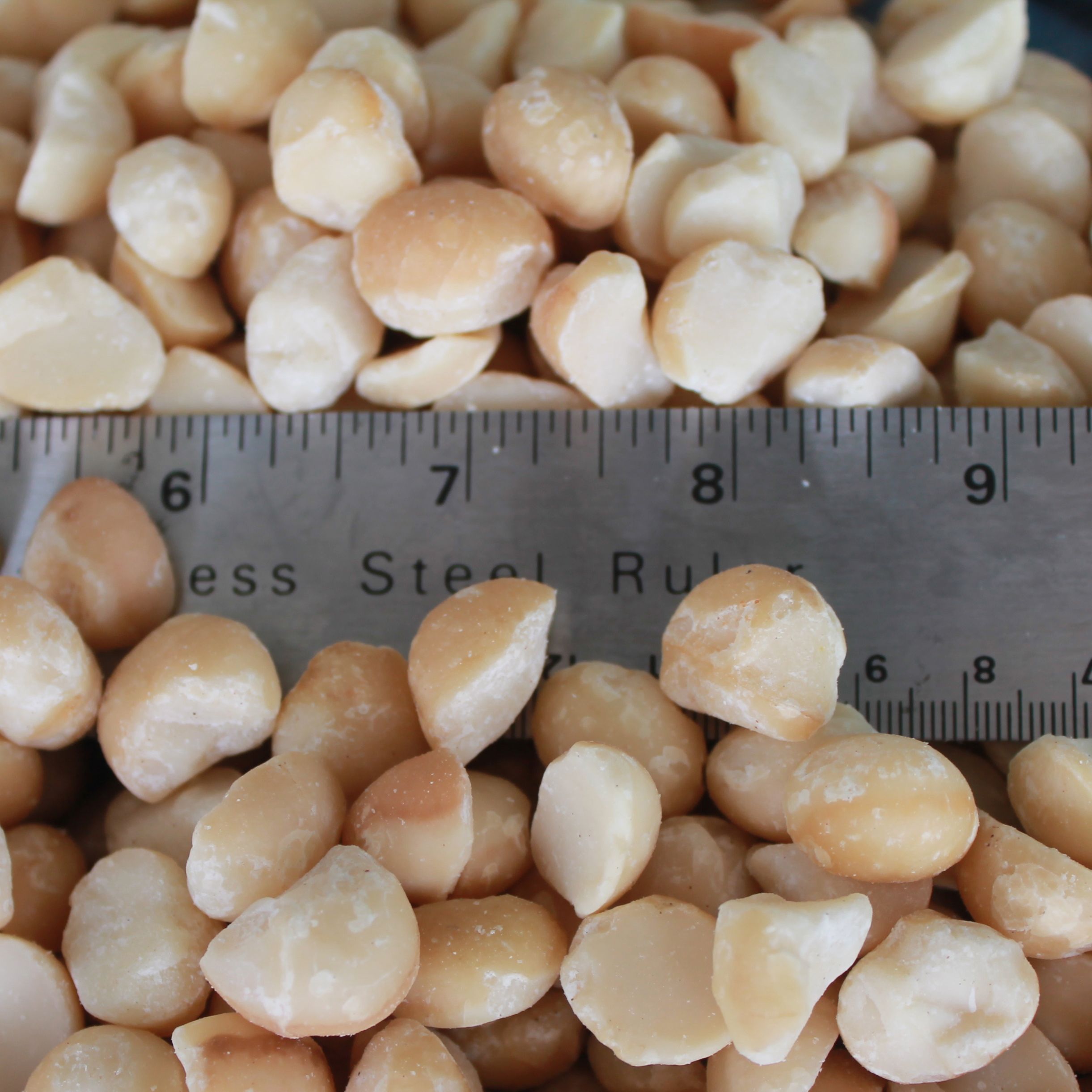Bulk Macadamia Nuts Lions Gate Farms