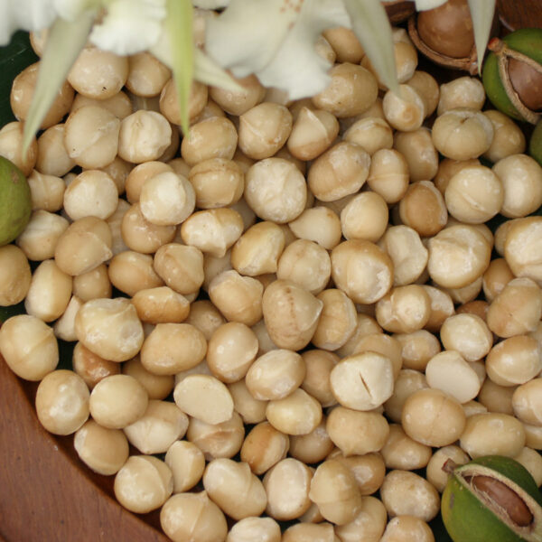 Macadamia Nuts - Image 2